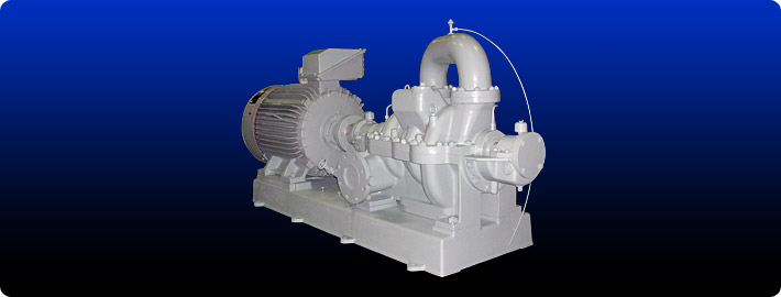 Type 4CMH, 2CMH (Horizontal, Multi stage, Centrifugal pump)